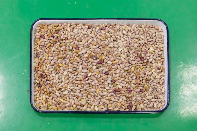 Wenyao O mais novo controle remoto Máquina de classificação de cores de grãos inteligentes vermelhos 4