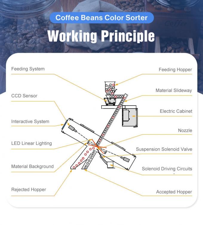 Weanyao Multifunção CCD Câmera personalizável Verde e assado Grão de café máquina de triagem de cores 3