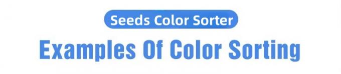 Wenyao 5 Chute M&aacute;quina de classifica&ccedil;&atilde;o de cor de feij&atilde;o de cardamomo 1