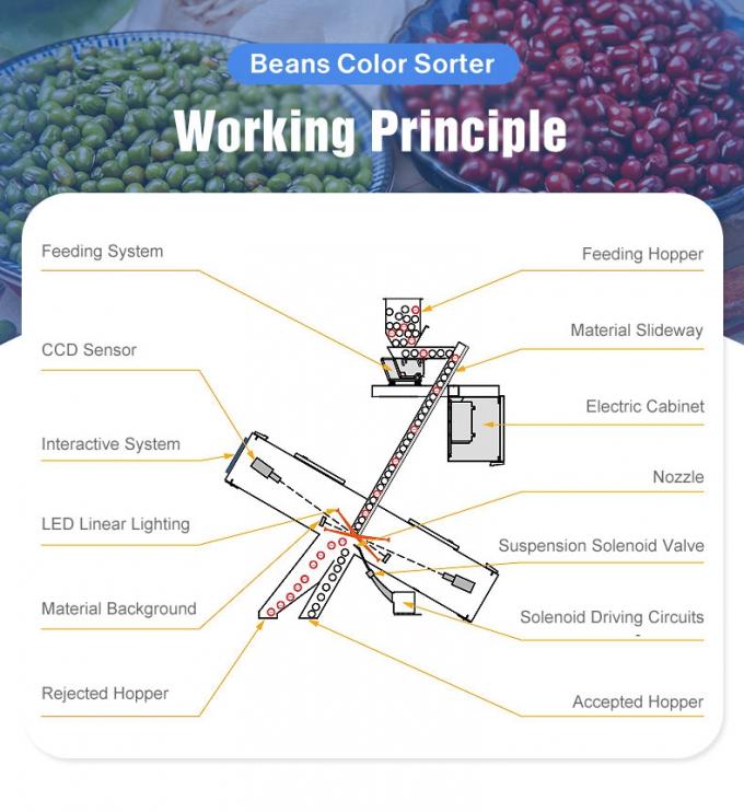 Wenyao preço de fábrica chinês totalmente automático feijão vermelho Rins feijão máquina de classificação de cores 3