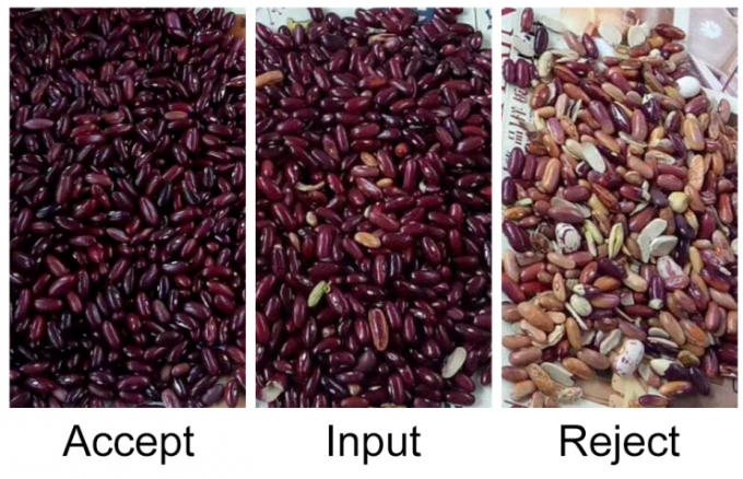 Máquina de triagem de cores ópticas de feijão vermelho 9