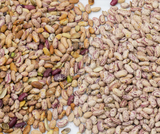 Máquina de triagem de cores ópticas de feijão vermelho 11