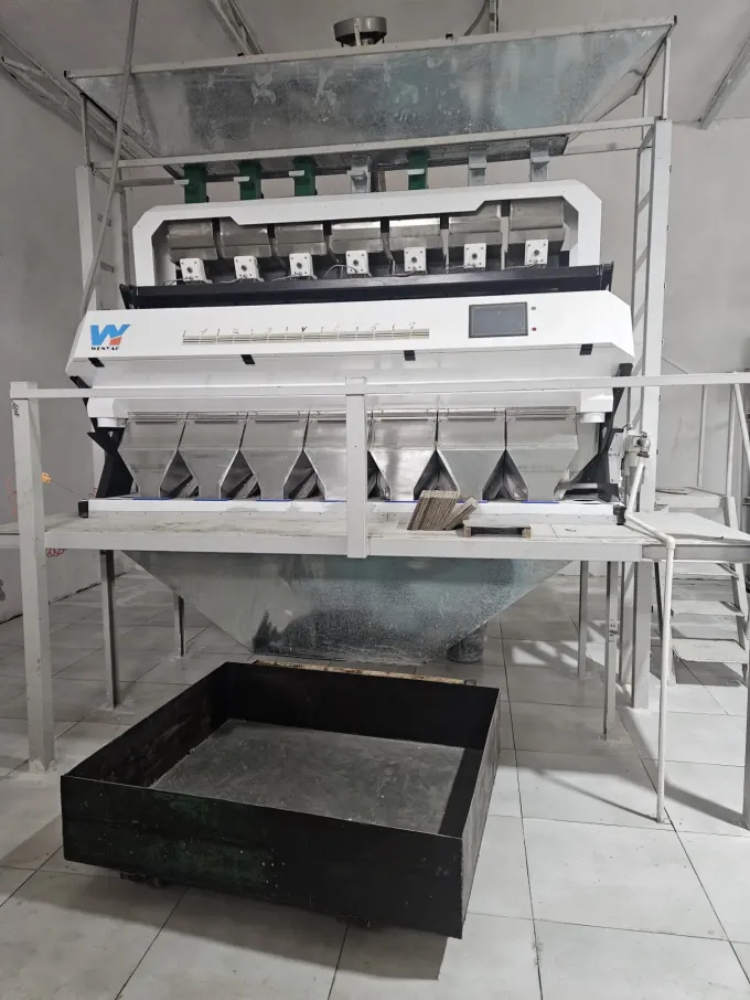 Wenyao Máquina automática e eficiente de triagem de flocos de plástico e grânulos de plástico PET 5