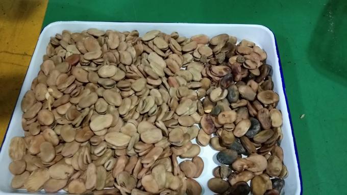 Wenyao Máquina de triagem óptica de alto desempenho 5