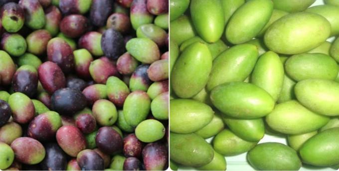 Máquina de triagem de cores de oliveira de aço inoxidável de cintura à prova d'água de 1200 mm Sorter de cores de morango congelado 3