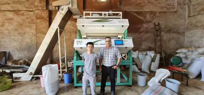 Máquina de triagem de cores de oliveira de aço inoxidável de cintura à prova d'água de 1200 mm Sorter de cores de morango congelado 14