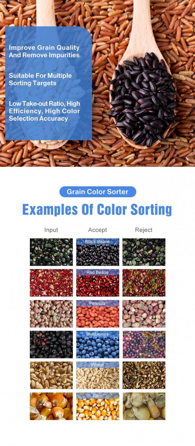Máquinas agrícolas Wenyao Mini Sorteador óptico Fornecedor Sorteador de cor de trigo 6