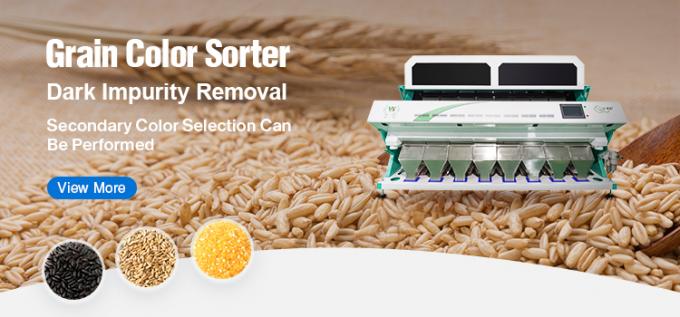 Máquinas agrícolas Wenyao Mini Sorteador óptico Fornecedor Sorteador de cor de trigo 5