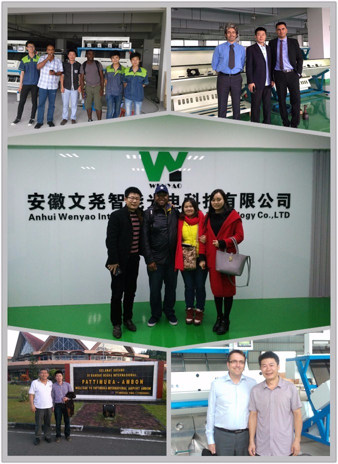 Máquina automática de triagem de cores de pimenta preta para triagem de sementes de feijão de alta precisão 17