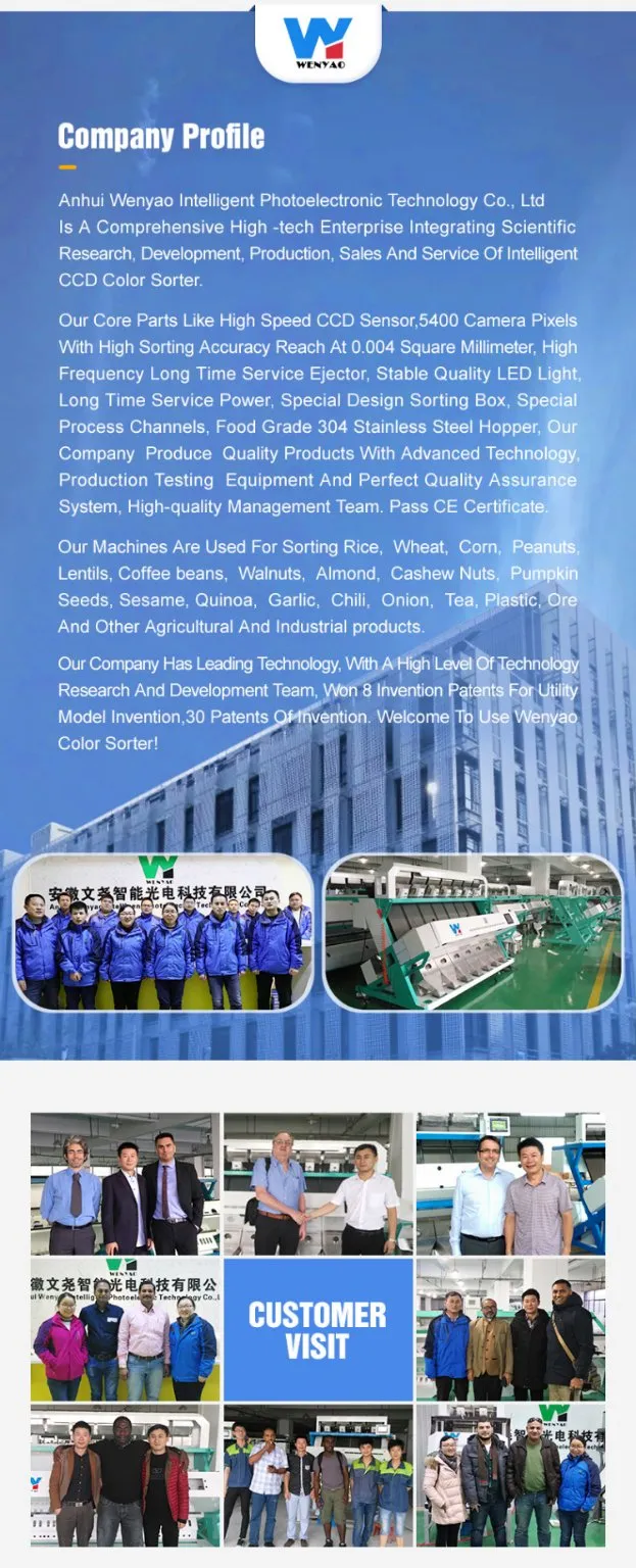 Máquina de seleção de classificação de feijão de soja, feijão verde, sementes pretas de Sohum, equipamento de limpeza 3