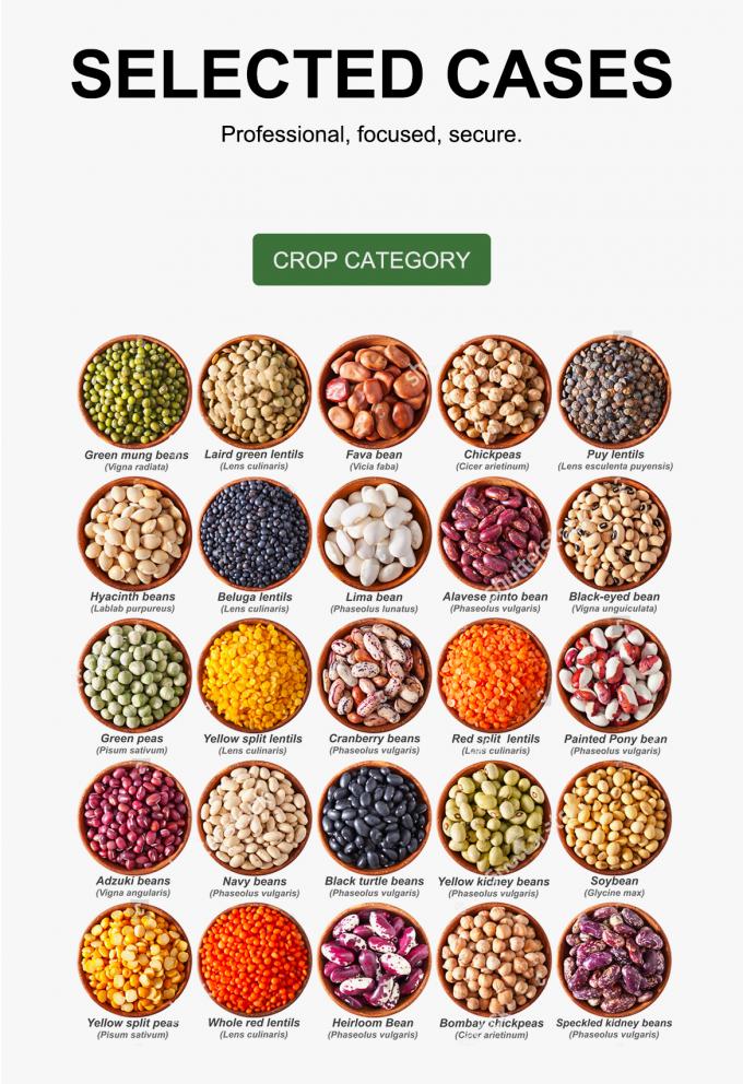 WENYAO Parâmetros ajustáveis de triagem de alta velocidade para linhas de triagem de grãos 8