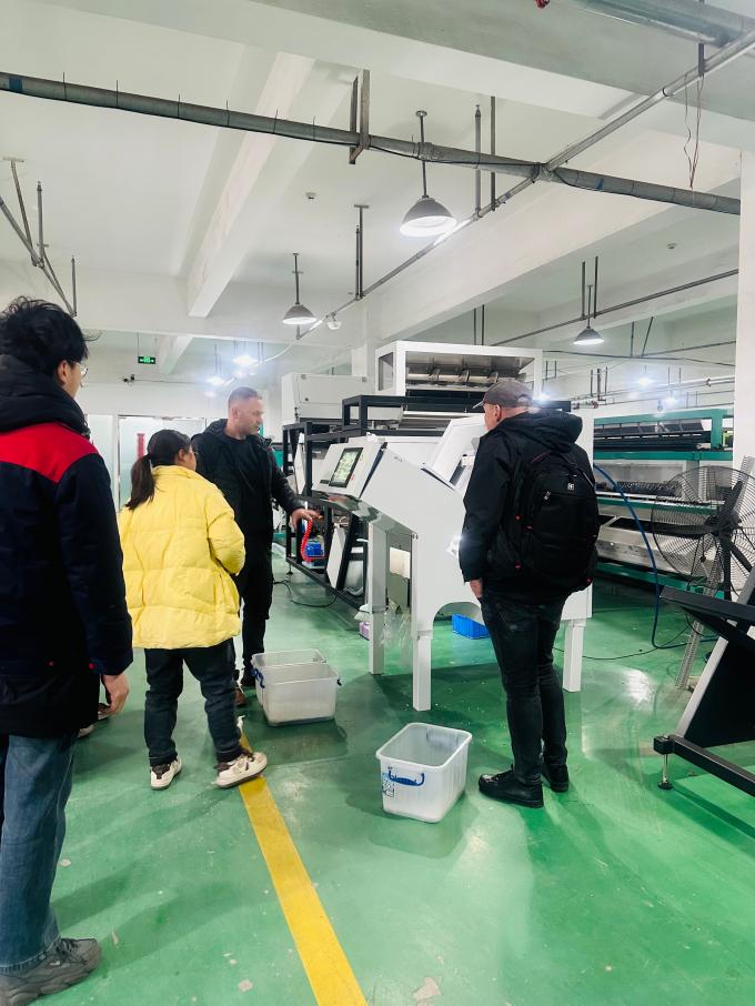 Lançamento do Novo Produto WENYAO 2025 304/316L Classificador de Cor de Partículas de Sal Gema CCD de Alta Precisão 10