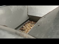 Máquina de triagem de nozes de vela Linha de processamento de nozes de vela Selecionador de cores de boa qualidade para nozes de vela