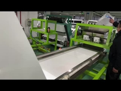 Máquina de triagem de vegetais de 3 t / h, máquina de triagem de cores de chili vermelho seco