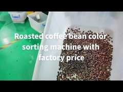 feijão de café