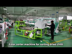Tipo cinturão Wenyao duplo estágios secos sorter de cores de pimenta