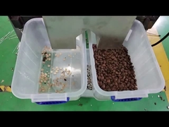 Sacha Inchi colour sorter