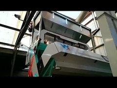 Classificador de cores de feijão largo