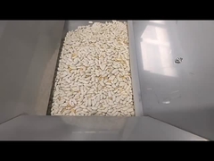 1 queda para feijão branco