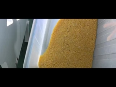 Sorteador de cores de grãos de milho