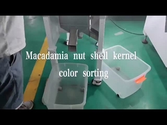 macadâmia