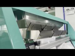 Classificador de cores de feijão branco